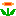 flower.gif